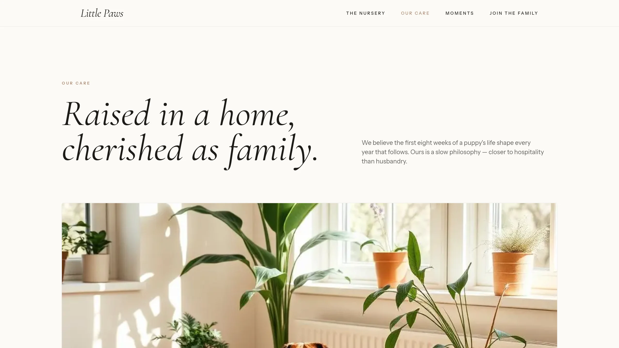 Little Paws care page with quiet editorial layout