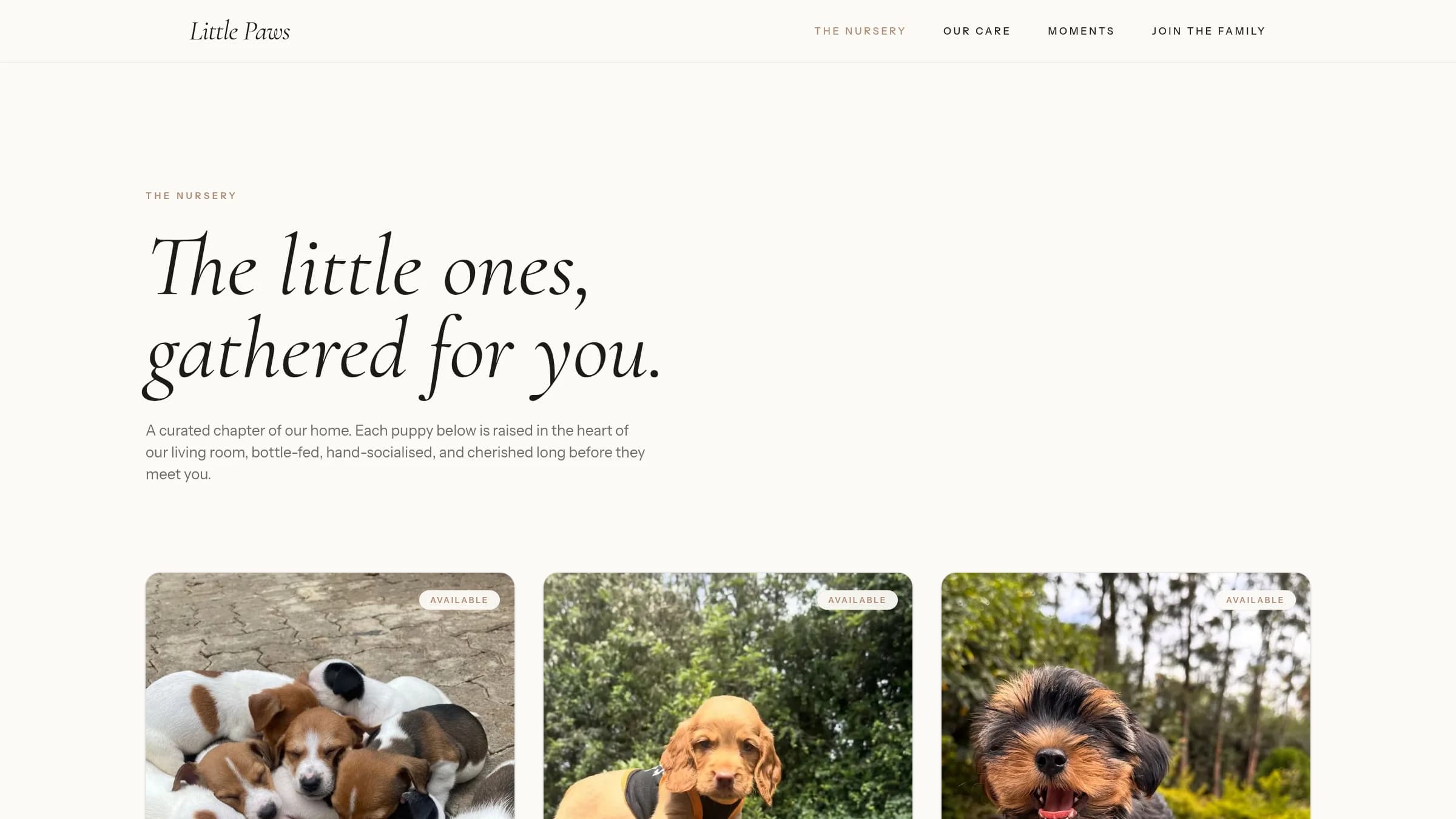 Little Paws browsable nursery showing available puppies